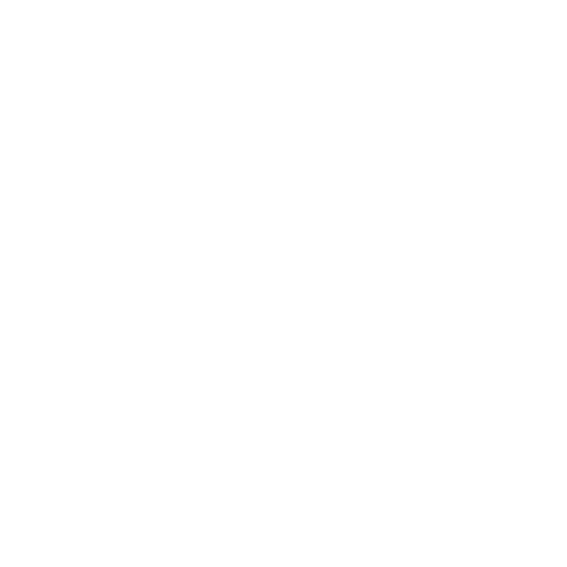 AUDIT icon