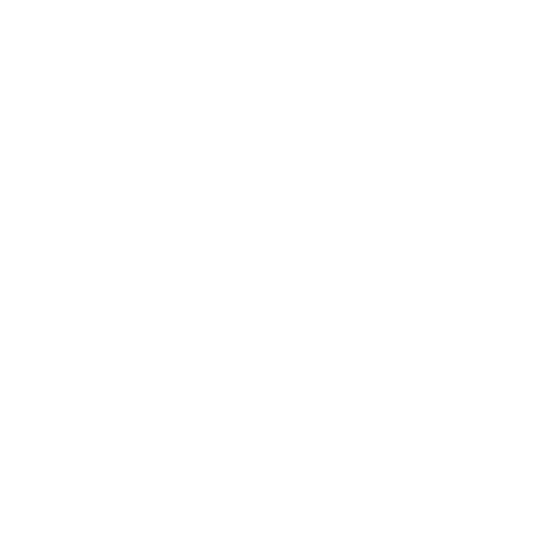 ROADMAP icon