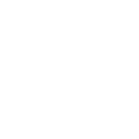 WHITEPAPER icon